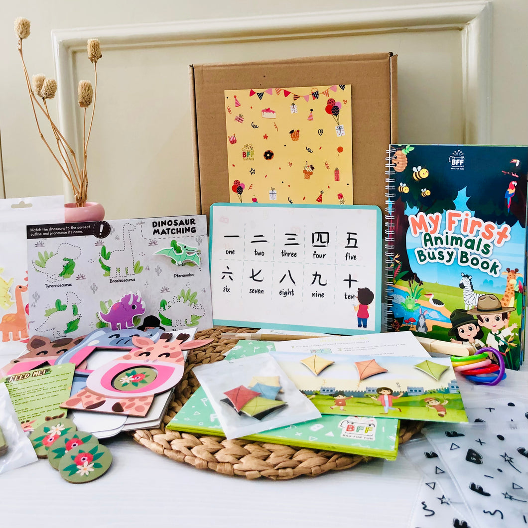 Activity Boxes
